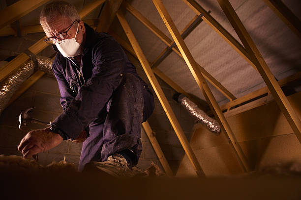 Insulation Inspection Services in Star Valley, AZ